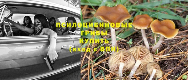прущая мука Белокуриха