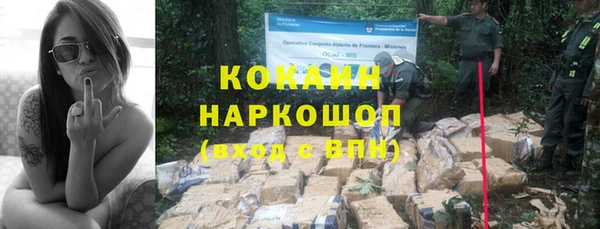 стафф Богородицк