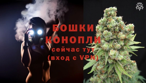 трава Беломорск