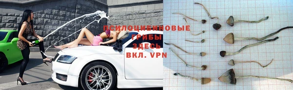 трава Беломорск