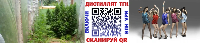 ТГК гашишное масло  где продают   Кимры 