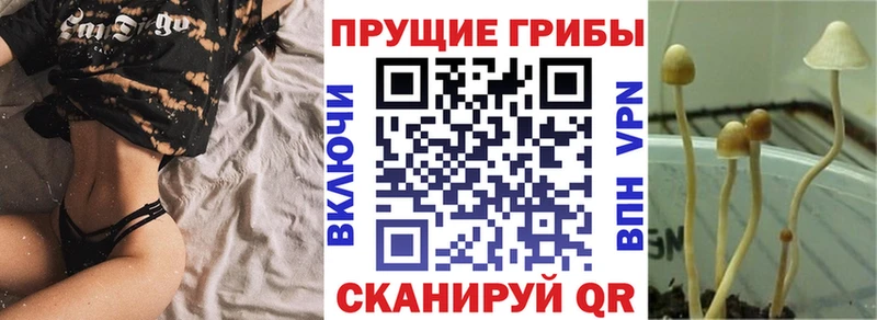 Галлюциногенные грибы Cubensis  Кимры 
